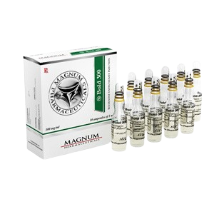 High Quality Magnum Bold 300