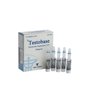 High Quality Testobase