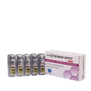 High-Quality Trenbox Depot